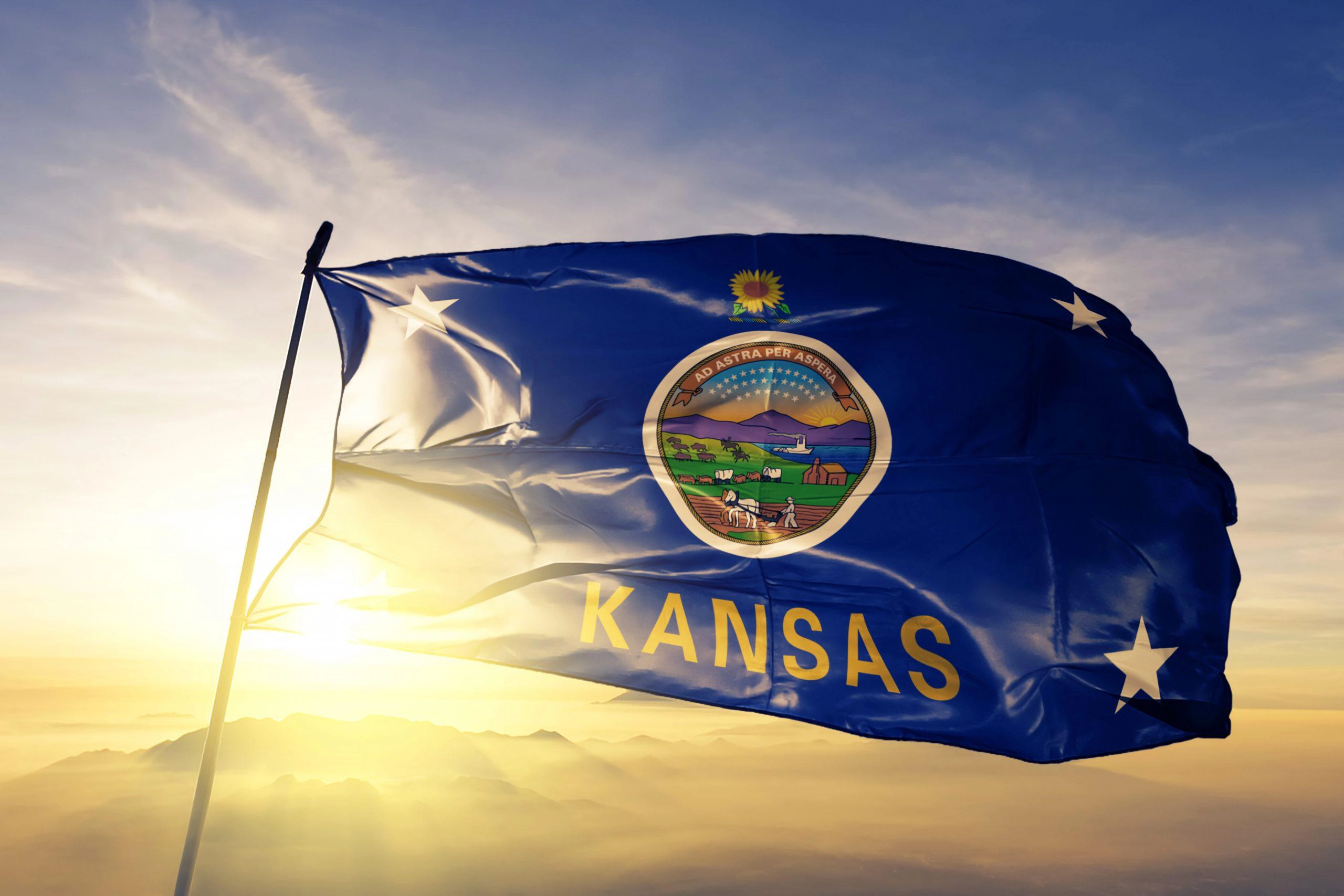 Surrogacy in Kansas: Essentials You Need to Know