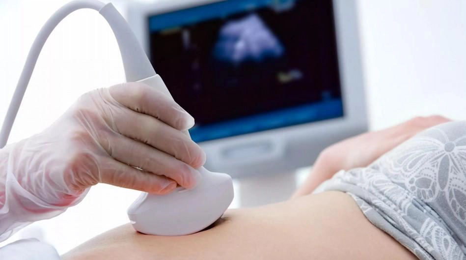 How do we choose a surrogate mother for surrogacy program?