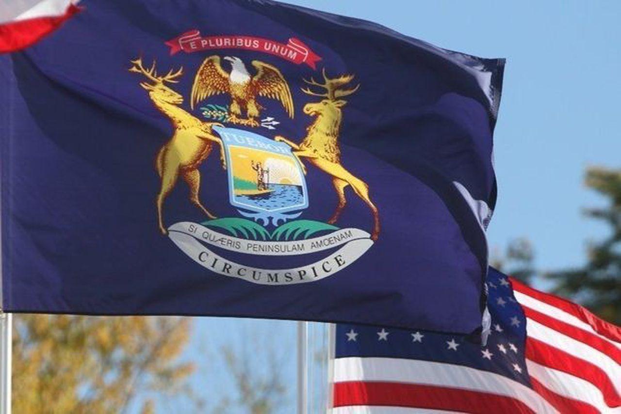 Surrogacy in Michigan: What Are the Alternatives?