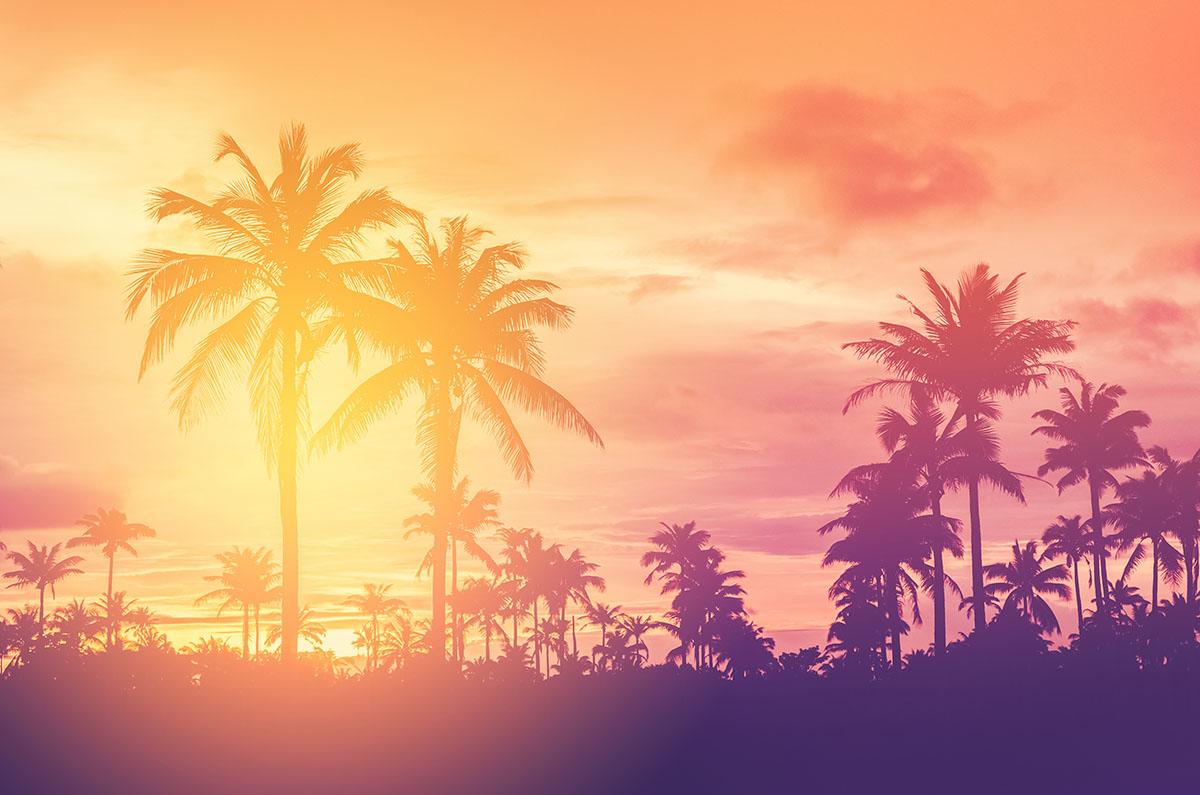 Surrogacy in California: Options and Alternatives