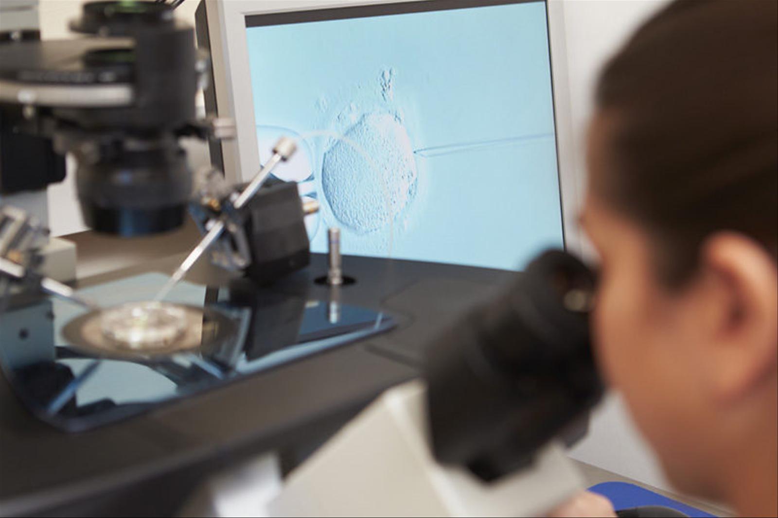 What Does Surrogacy in Kansas Cost?