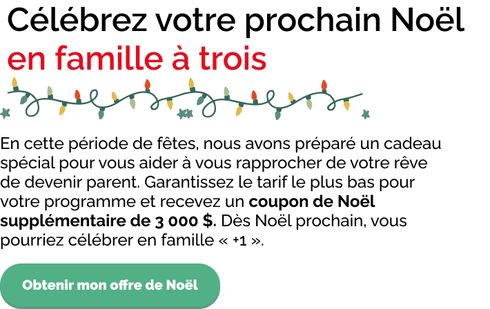Célébrez votre prochain Noël en famille à trois