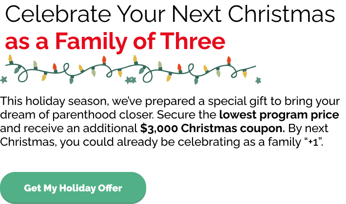 Celebrate Your Next Christmas as a Family of Three